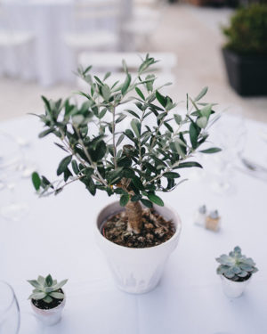 capturelife_laura_martin-28