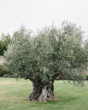 capturelife_laura_martin-3