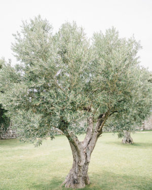 capturelife_laura_martin-6