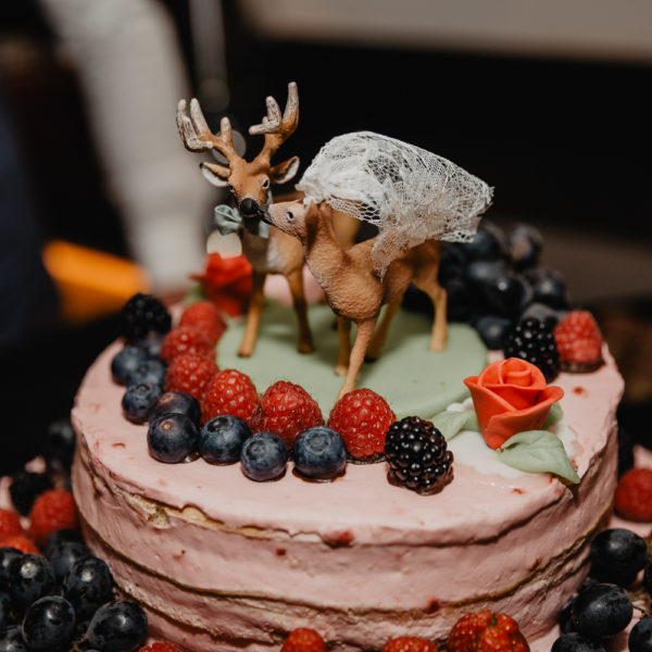 MGP_1803_Hochzeit_Berger-1027