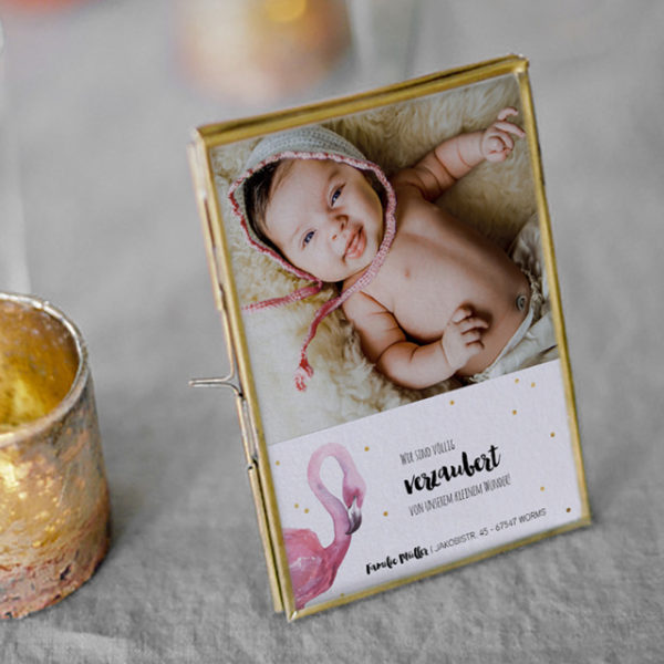 board_I_animaux_03_BNQ18-034