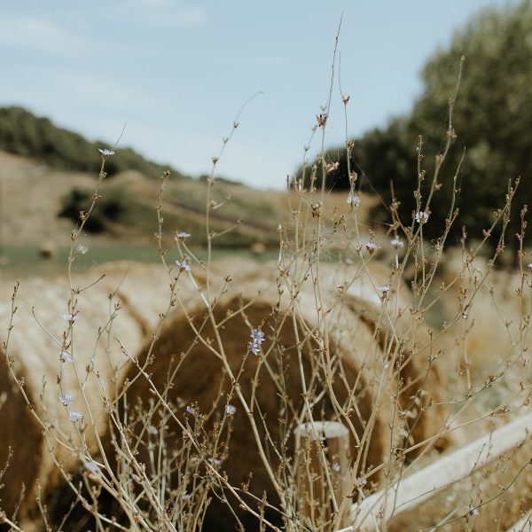 delphinepaulantoine_davidmaire_destinationwedding_toscane_orlaneherbin-02