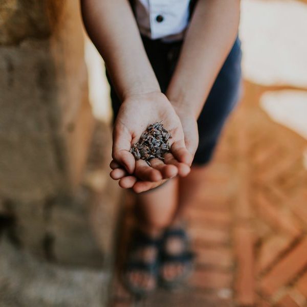 delphinepaulantoine_davidmaire_destinationwedding_toscane_orlaneherbin-17