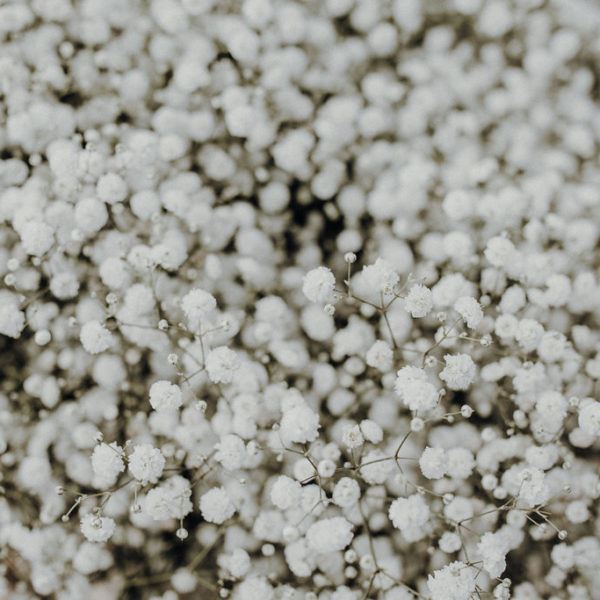 FriedaTheres_JuliaBartelt6M5A6786