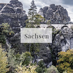 Hochzeitsplaner in Sachsen | Cotton Bird